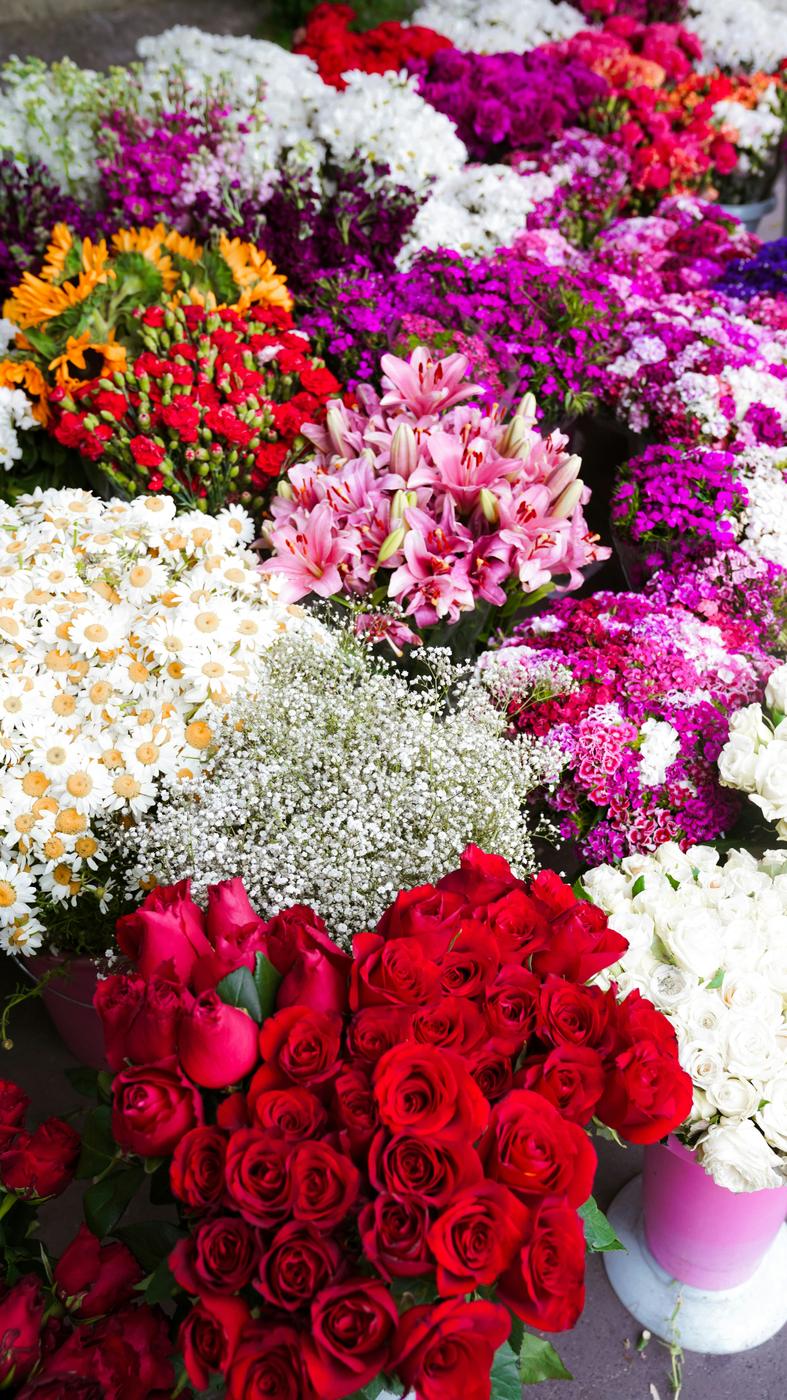 Buckets of roses and carnations
