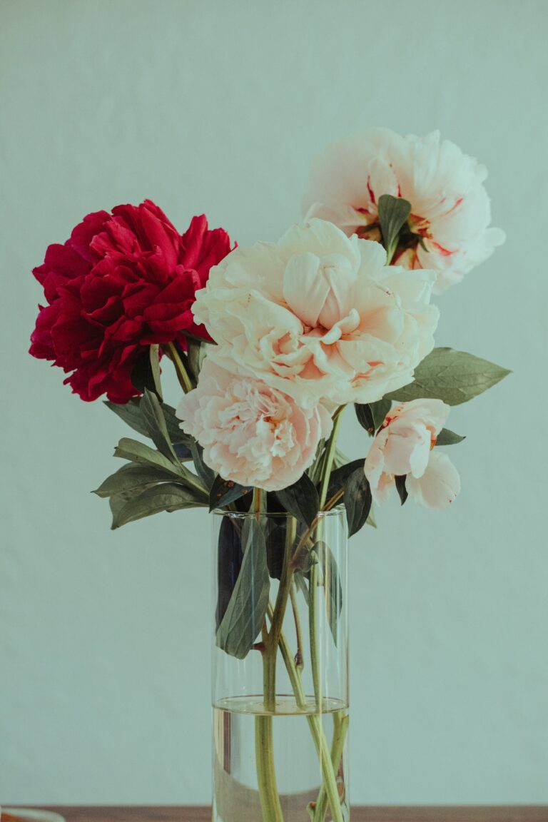 Ultimate Guide to Last-Minute Girlfriend’s Day Gifts