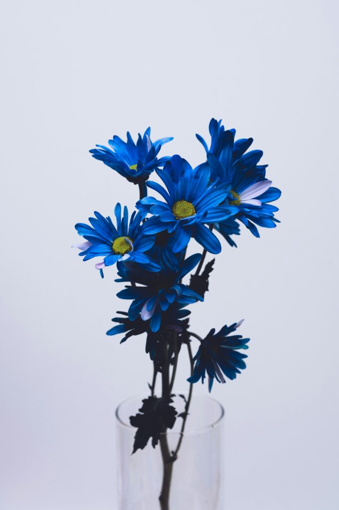How Do I Know If I have Fresh Flowers ?