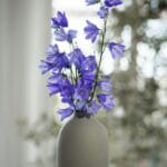 Flower Shops in Nairobi | Flowers & Gifts | Flower Hut & Gifts