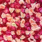 How to Choose the Right Flowers for Your Girlfriend in Nairobi