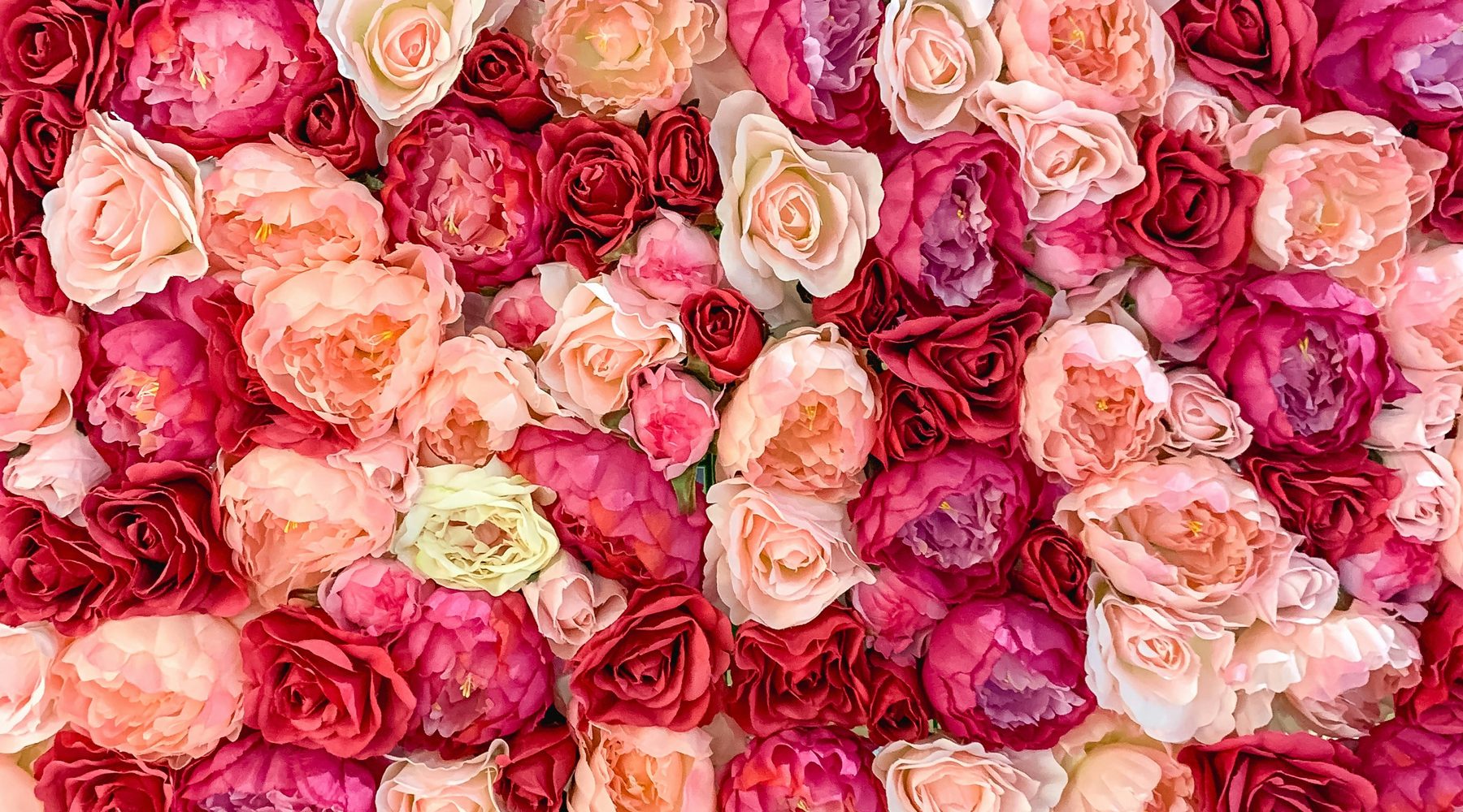 Flowers for Your Girlfriend