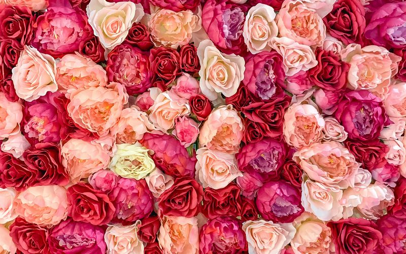How to Choose the Right Flowers for Your Girlfriend in Nairobi