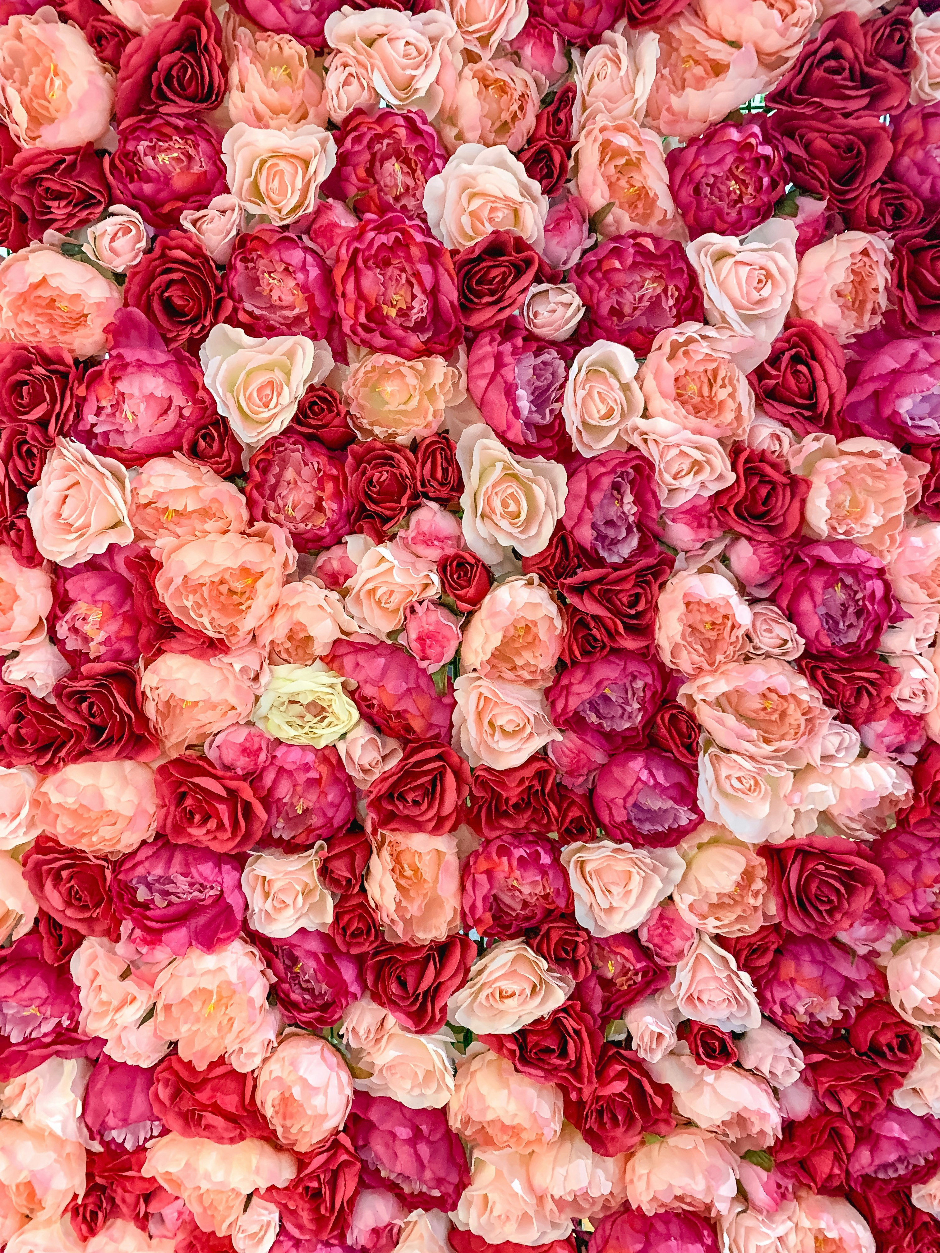 Flowers for Your Girlfriend