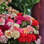 How Much Do Naivas Flowers Cost in Kenya? Price Guide